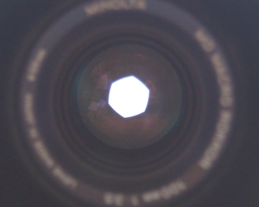 恐ろしく久しぶりの使用。MD Macro Rokkor 100mm/F3.5でデジタル 恐ろしく久しぶりの使用。MD Macro Rokkor 100mm/F3.5でデジタル