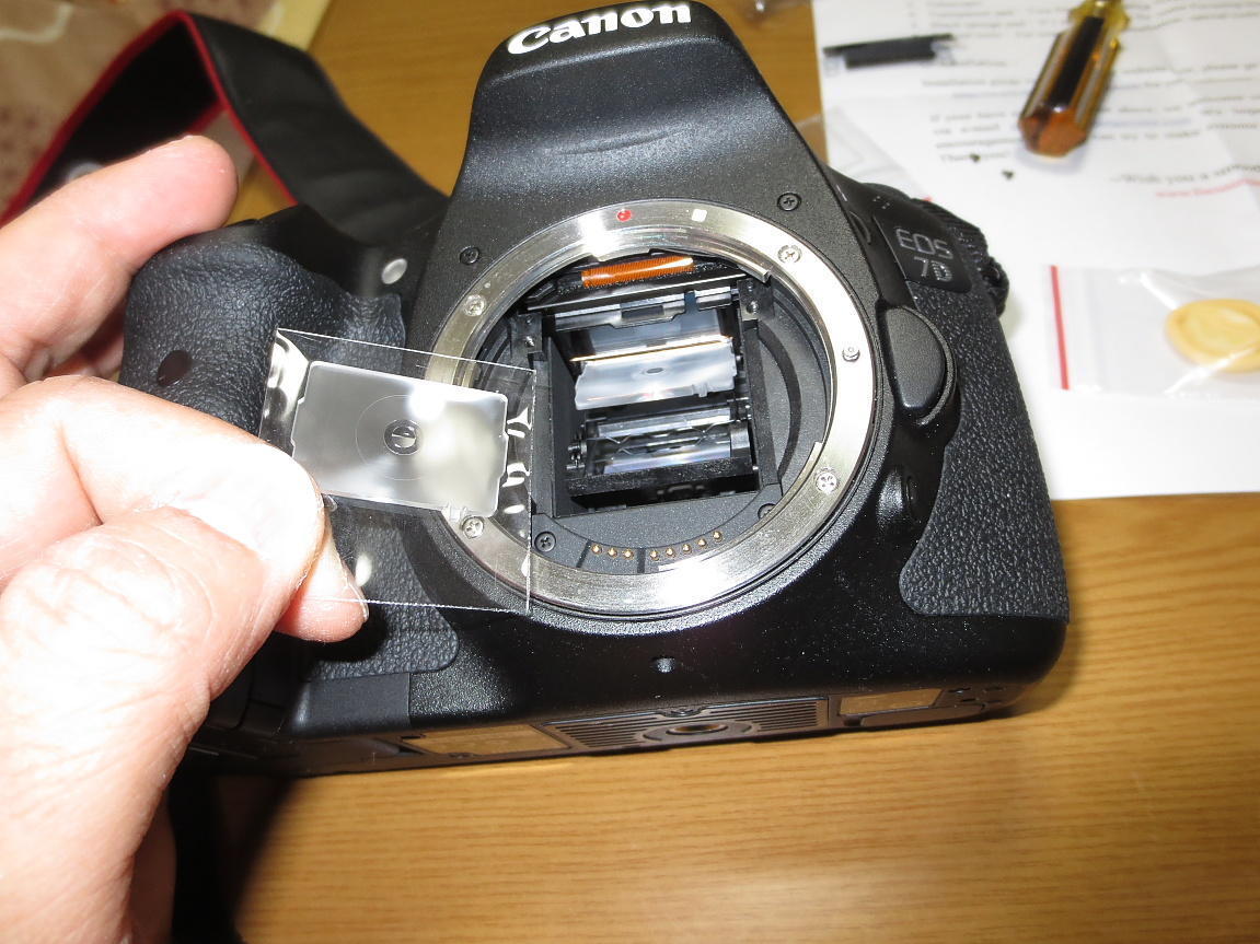 Canon EOS 7Dに、NikonのK3型スクリーンを入れてみました～(^O^)/: カメラと写真と猫と