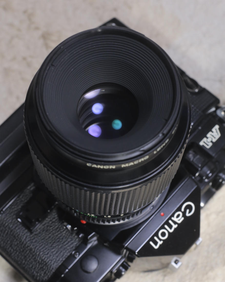 Canon New FD 100mm/F4 Macroを分解清掃し、フルサイズデジタル撮影 