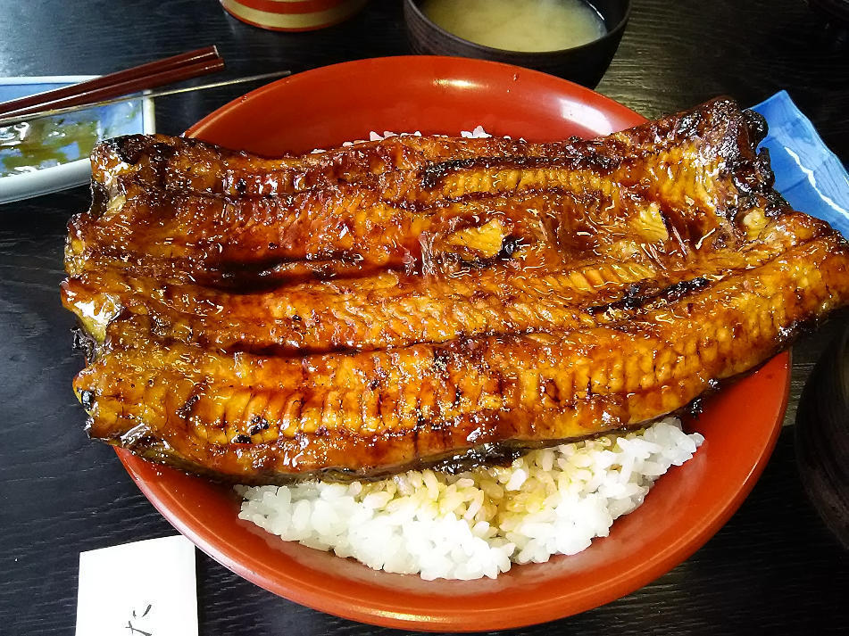 天然 利根川下りうなぎ ボッカ の鰻重を食べに行きました ゞ カメラと写真と猫と