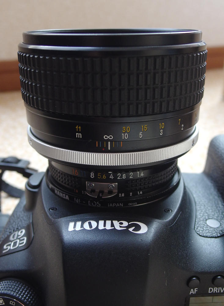 Ai Nikkor 85mm/F1.4 Sでフルサイズデジタル撮影した、我が愛猫のボス 