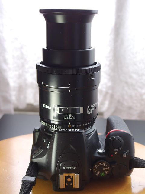 Ai AF MICRO NIKKOR 55mm/F2.8 S でムーちゃんをデジタル撮影～(^^)/: カメラと写真と猫と