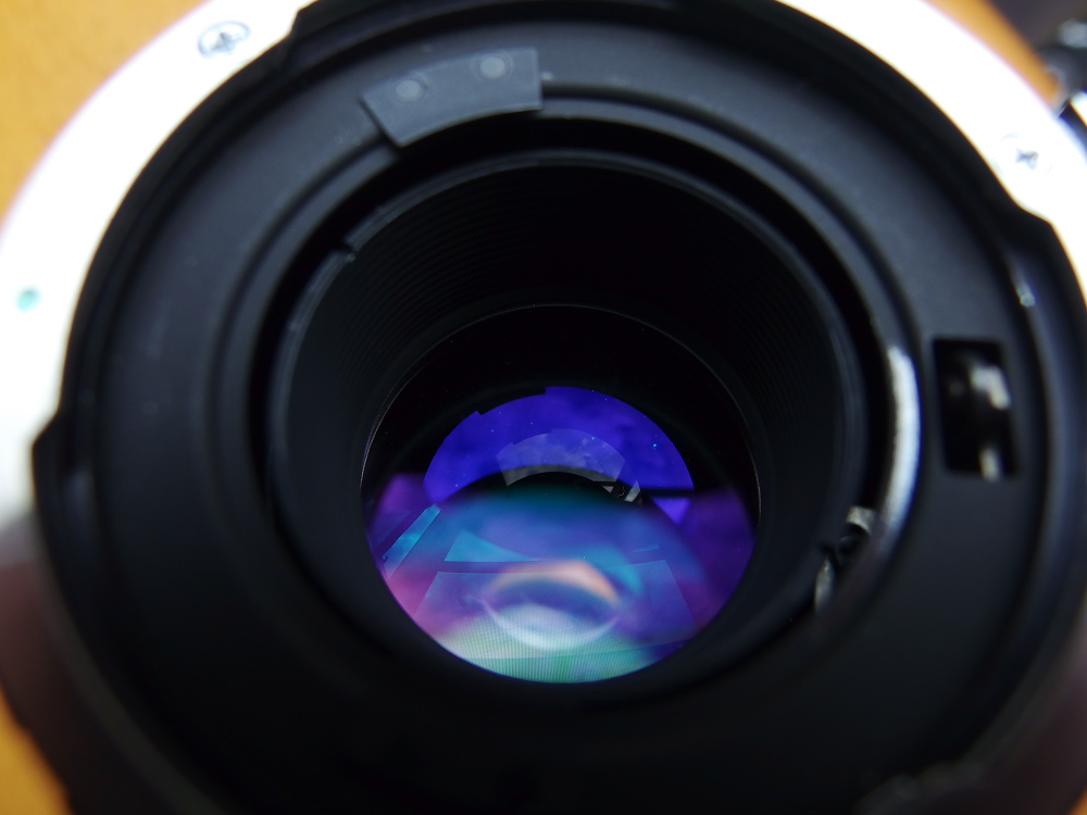 あしかがフラワーパークで撮影に用いたTAMRON SP 180mm/F2.5 LD あしかがフラワーパークで撮影に用いたTAMRON SP 180mm/F2.5 LD