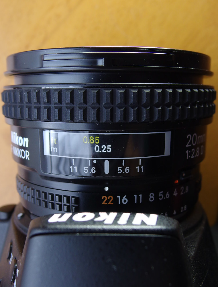 超広角単焦点レンズ Ai AF Nikkor 20mm/F2.8 D でムーちゃんをデジタル